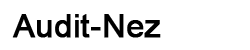 Audit-nez.ru